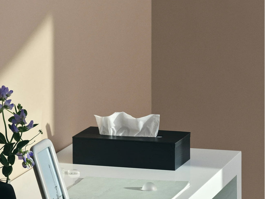 Flap Tissue Box