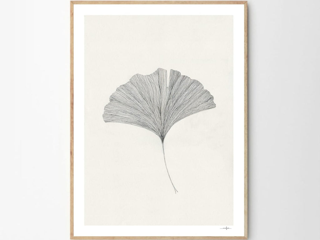 Ginkgo Leaf