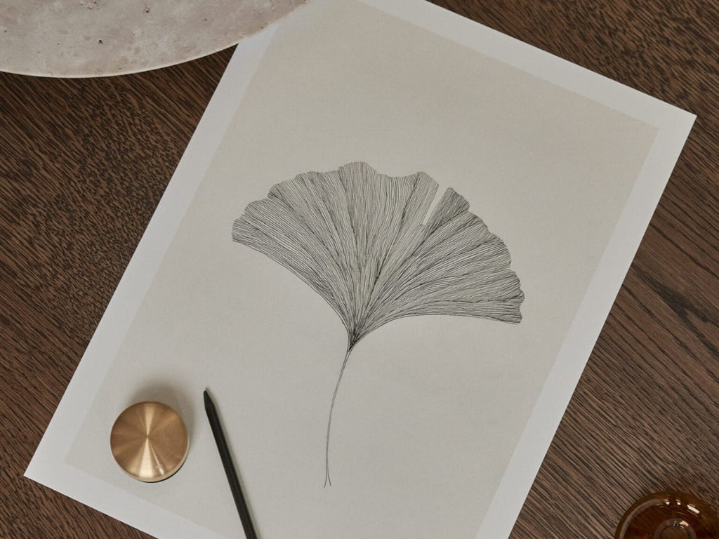 Ginkgo Leaf