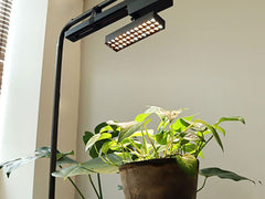 LED Spot Light for Plants 20W