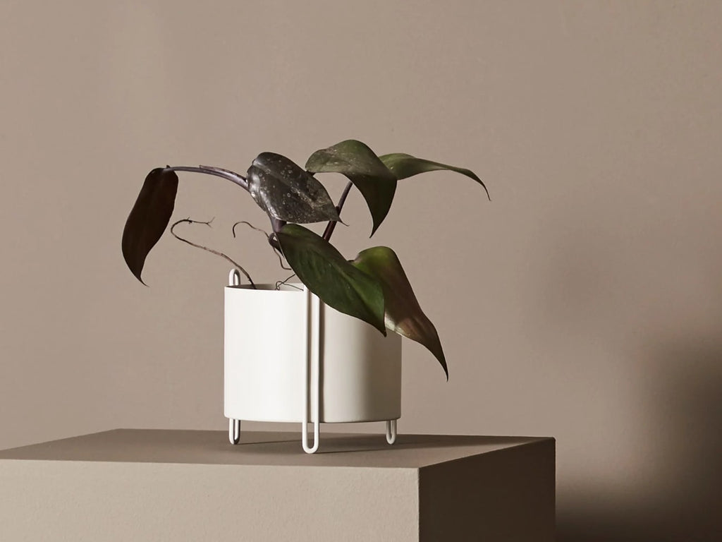 Pidestall Planter