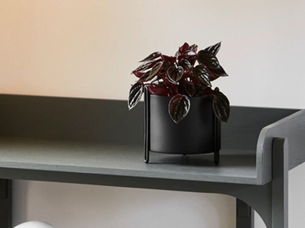 Pidestall Planter