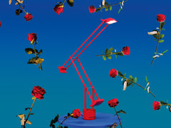 Tizio LED Limited Color