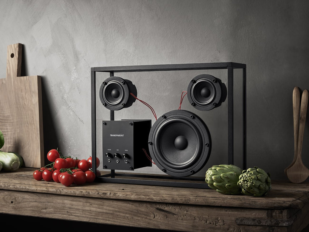 Transparent Speaker