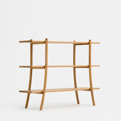 Skyladder Shelves