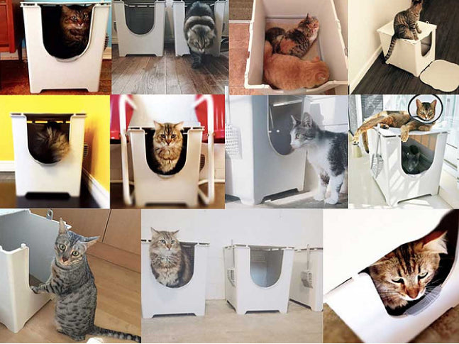 Flip Litter Box