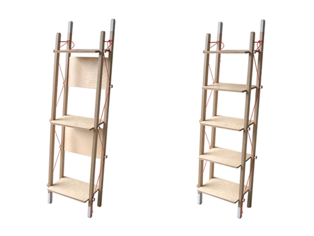 Ladder Rack