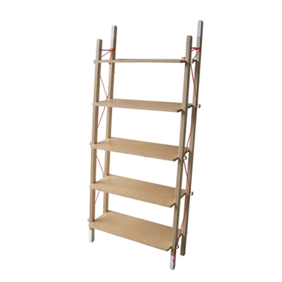 Ladder Rack