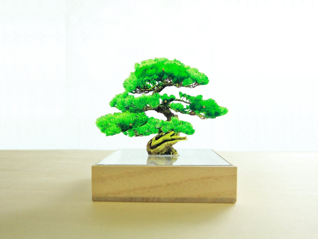 Bonsai Mini