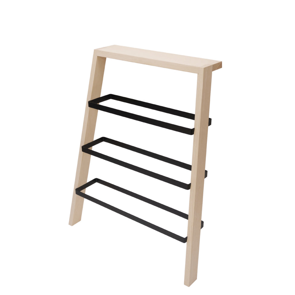 Step Shoe Rack