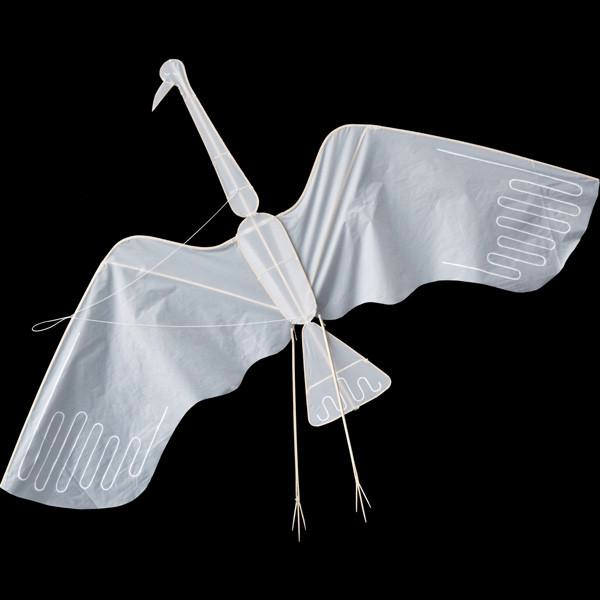 Crane Kite