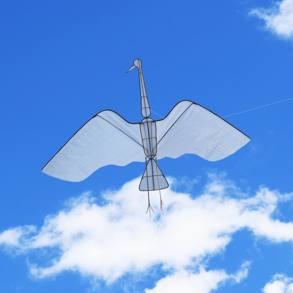 Crane Kite