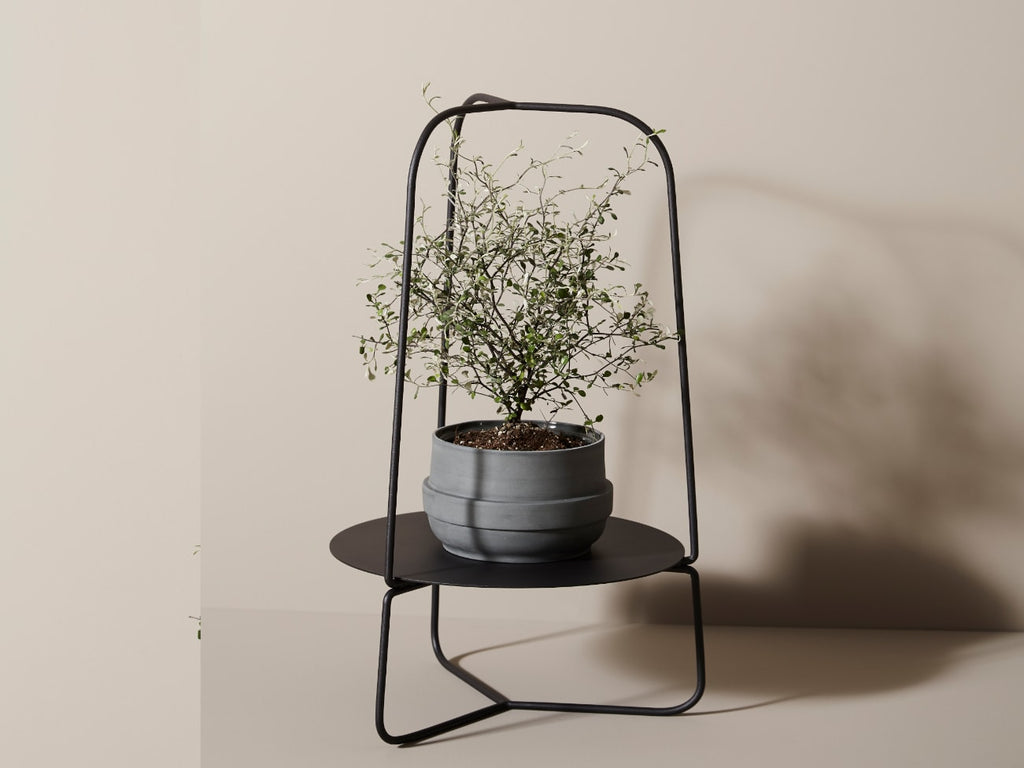 Auka Flower Stand