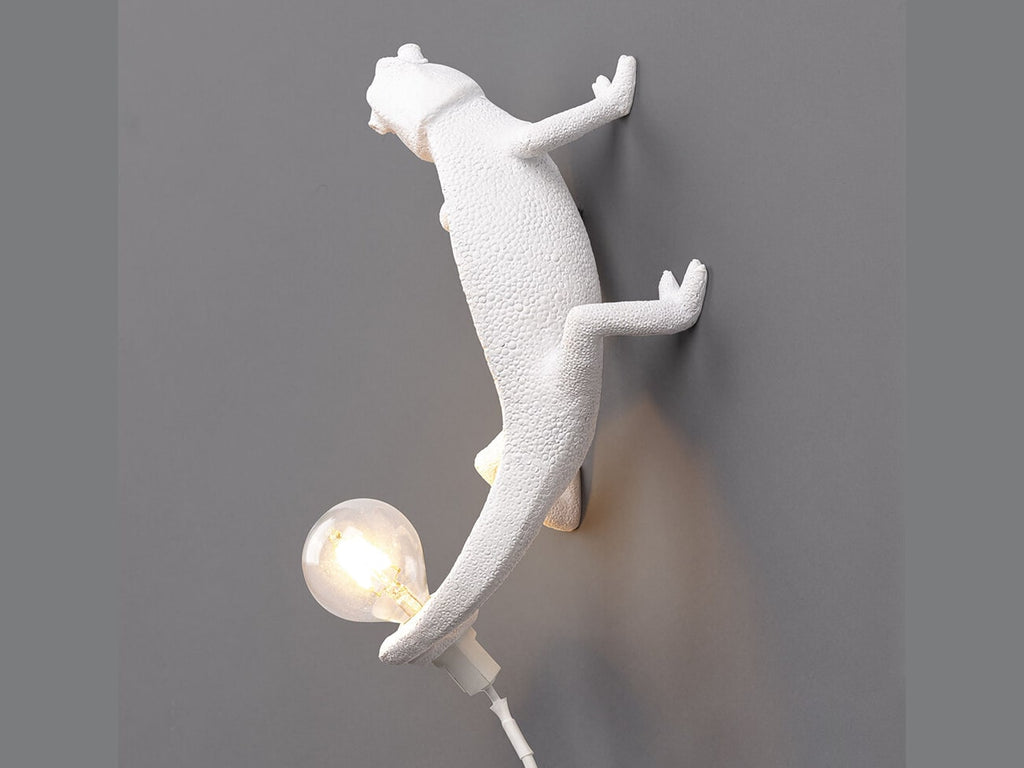 Chameleon Lamp