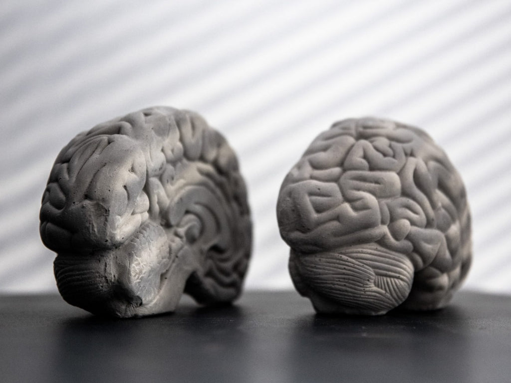 Grey Matter Bookends