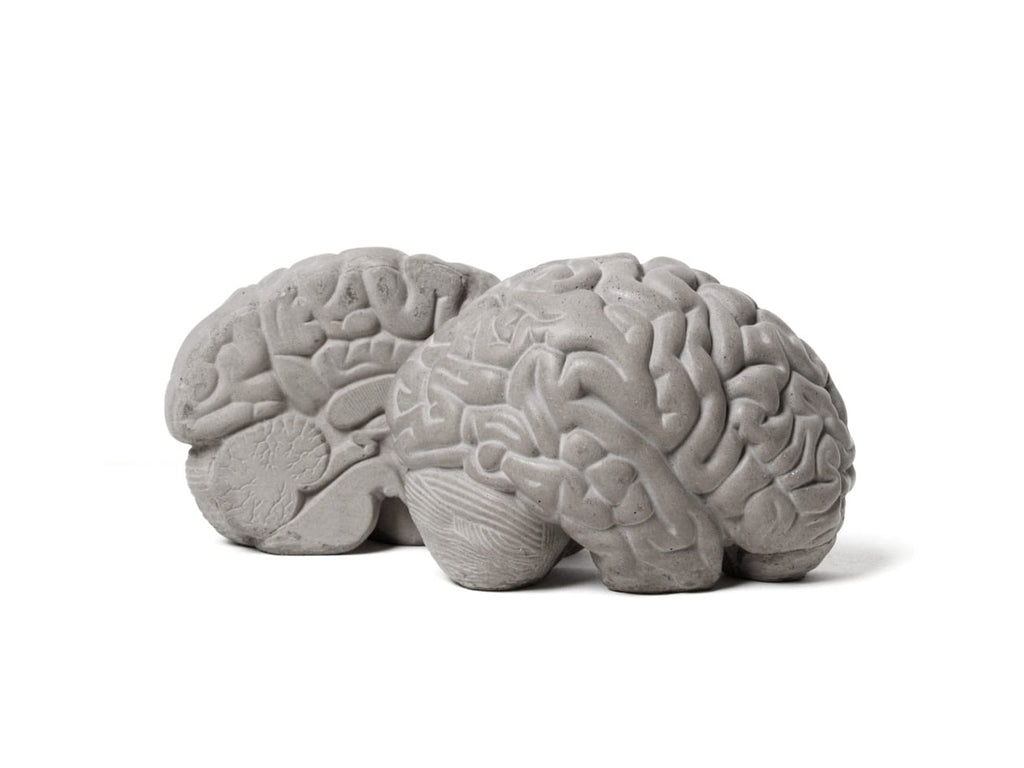 Grey Matter Bookends