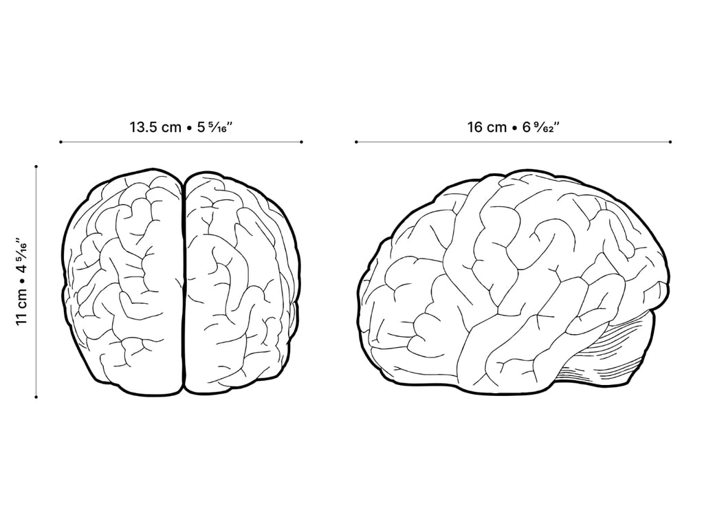 Grey Matter Bookends