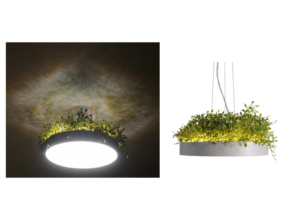 Giorno Ceiling Pendant Lamp LED LEAF