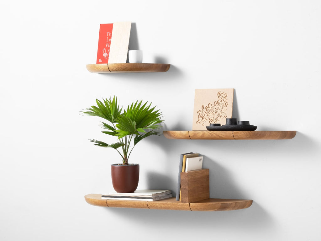 Paragraph Shelf