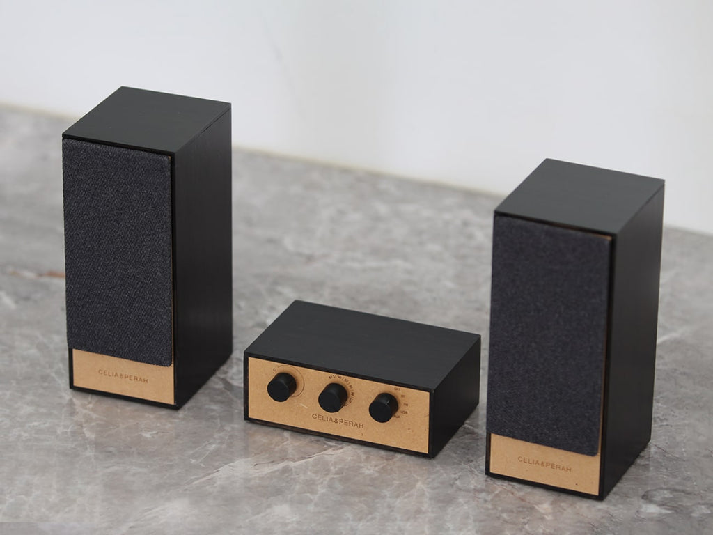 R4 DIY Bluetooth Radio