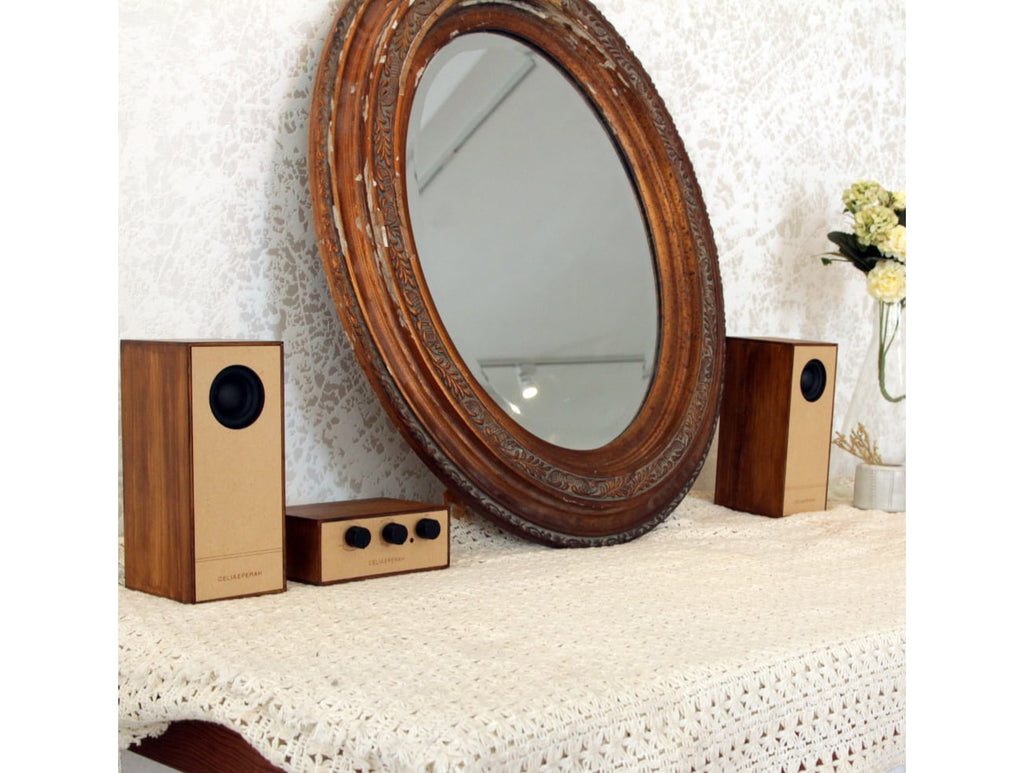 R4 DIY Bluetooth Radio