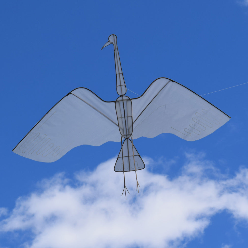 Crane Kite