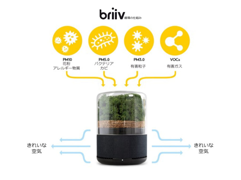 Briiv 2