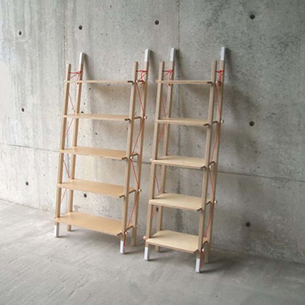 Ladder Rack