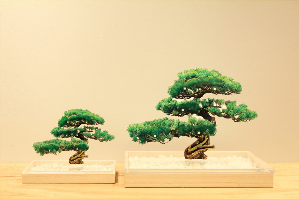 Bonsai