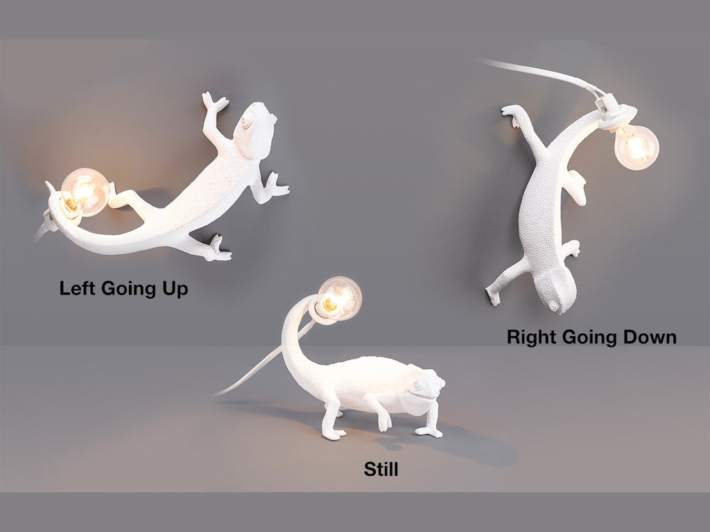 Chameleon Lamp