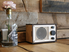 R1 & R2 Radio/Bluetooth Speaker