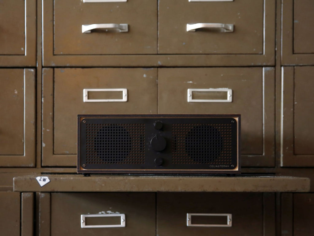 R1 & R2 Radio/Bluetooth Speaker