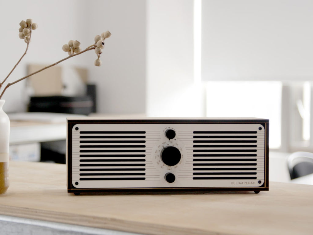 R1 & R2 Radio/Bluetooth Speaker