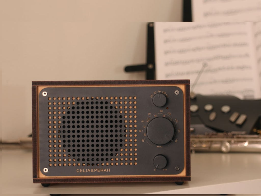 R1 & R2 Radio/Bluetooth Speaker