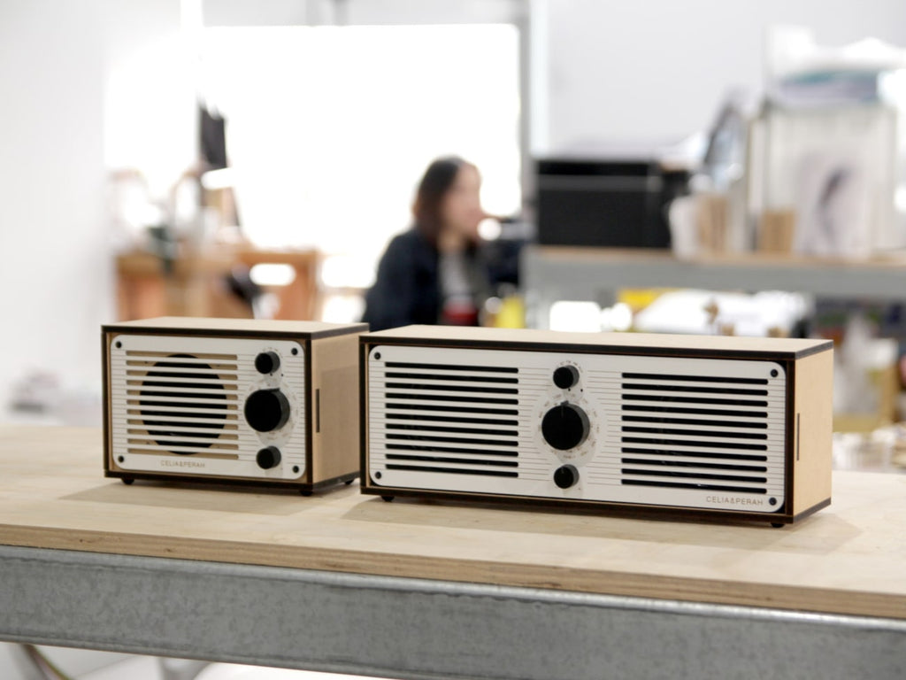R1 & R2 Radio/Bluetooth Speaker