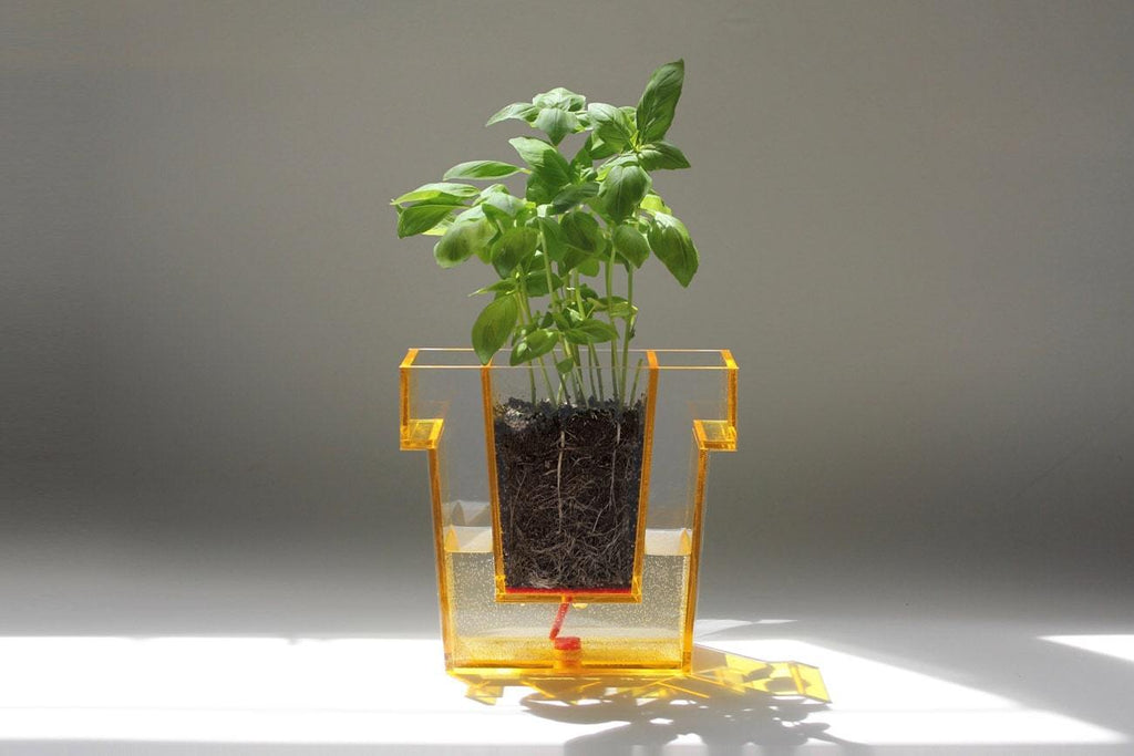 Self Planter