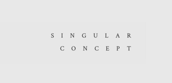 Singular Concept