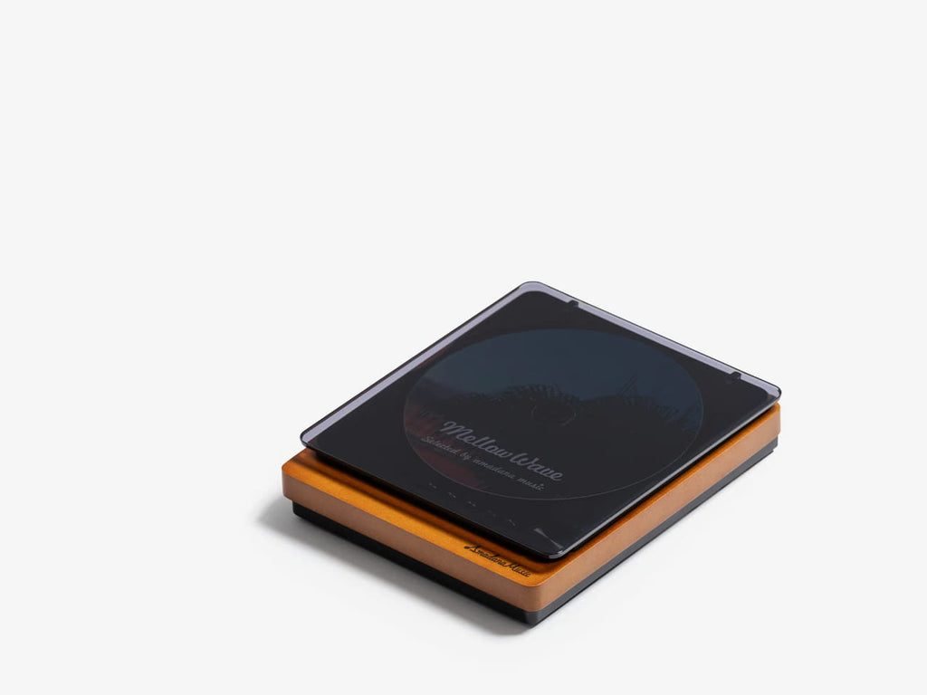 AM-PCD-201-S CD Player