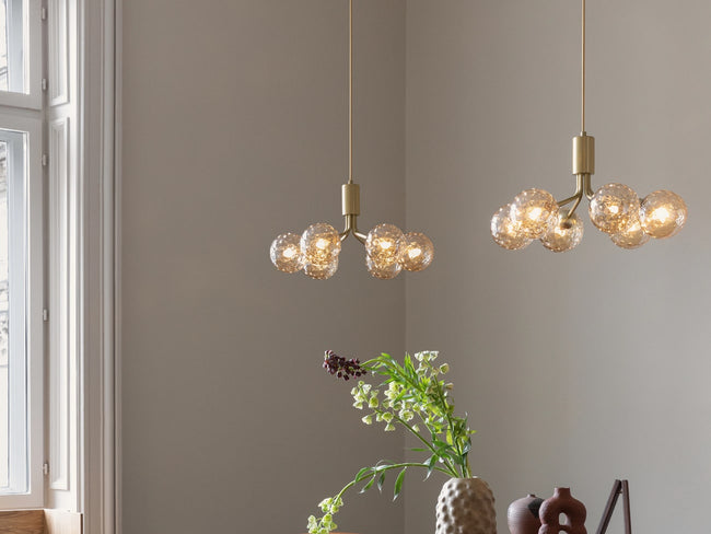 Apiales6_2-min_650x.jpg?v=