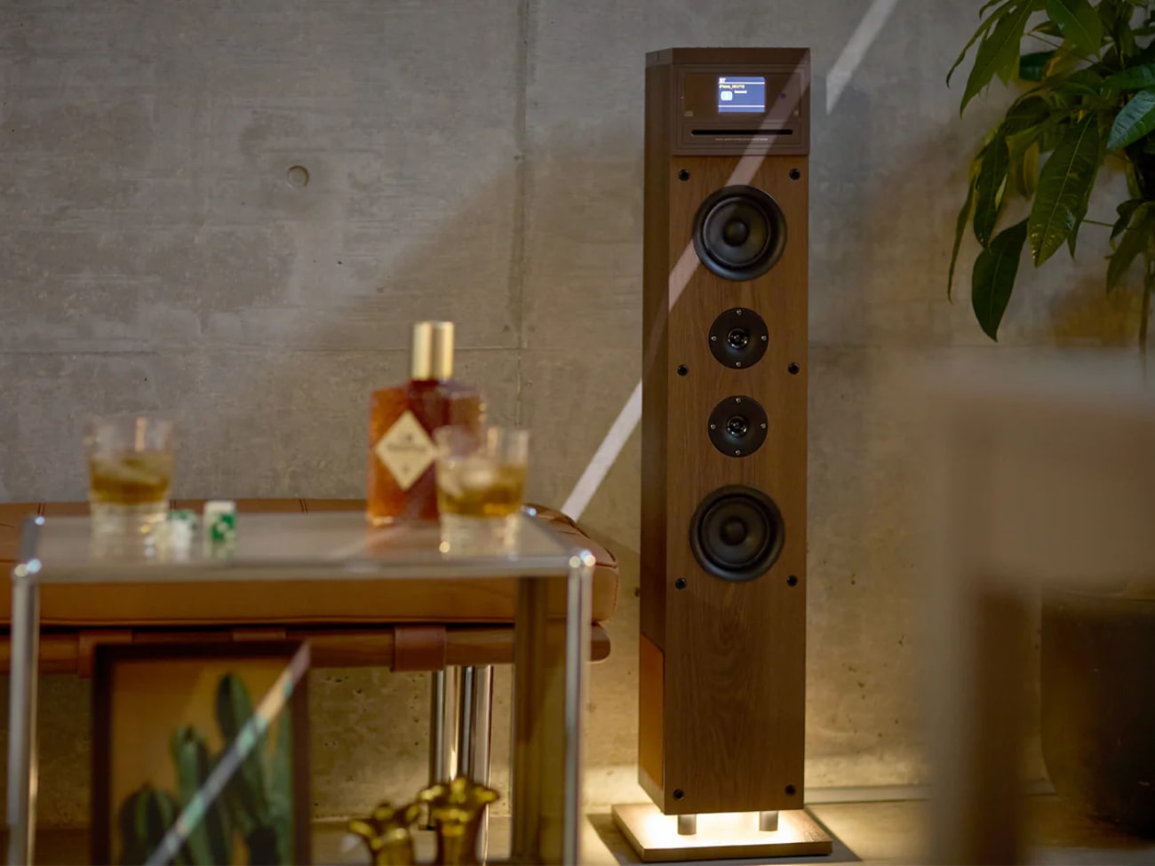 Cactus | カクタス by Sit Back & Relax | Generate Design