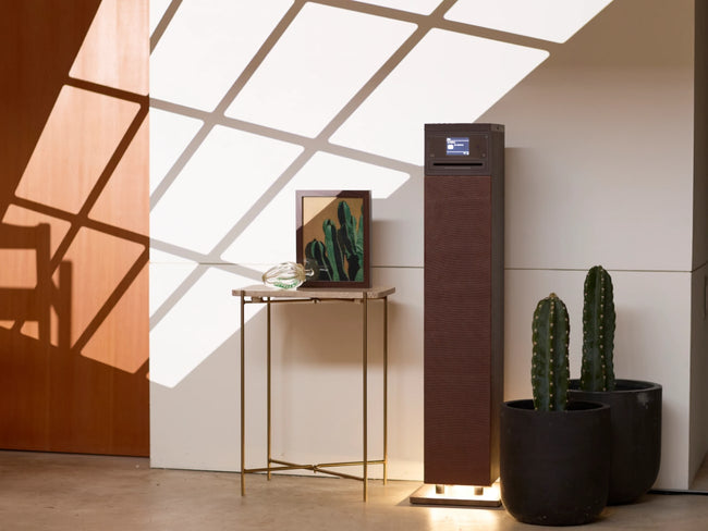 Cactus | カクタス by Sit Back & Relax | Generate Design