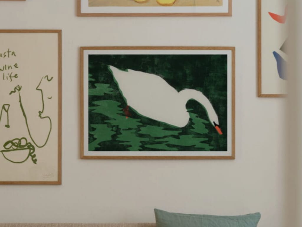 Cisne Blanco