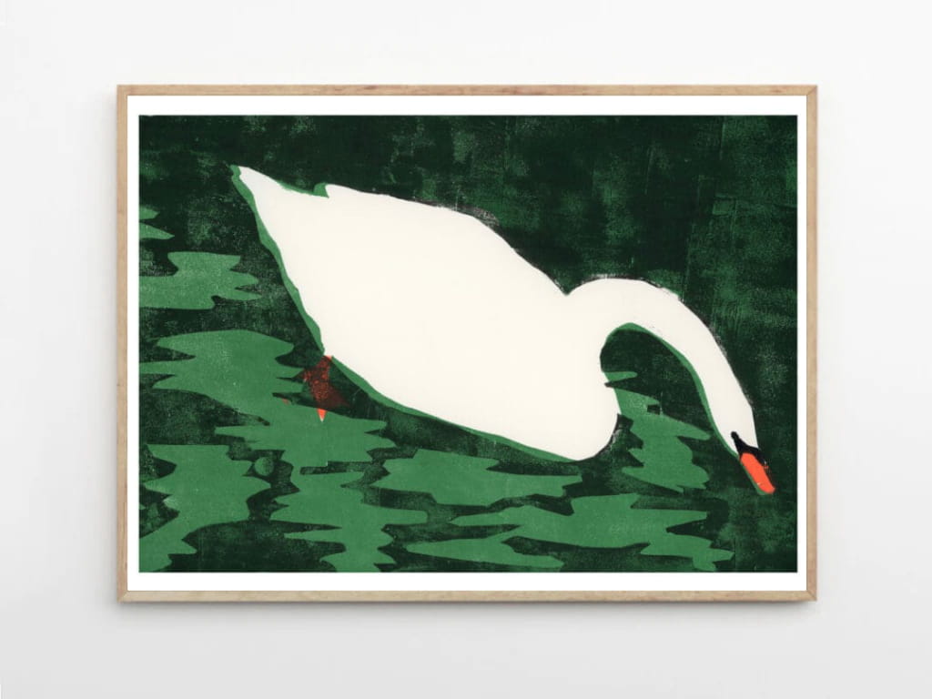Cisne Blanco
