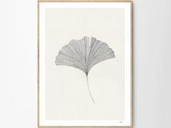 Ginkgo Leaf