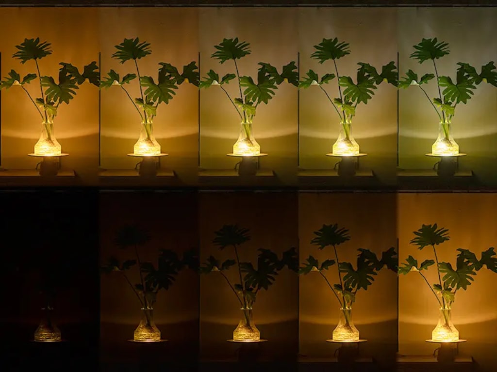 Gloak Table Lamp with Remote