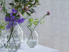 Hydro Glass Vase