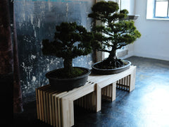 IKSKI Extendable Bench