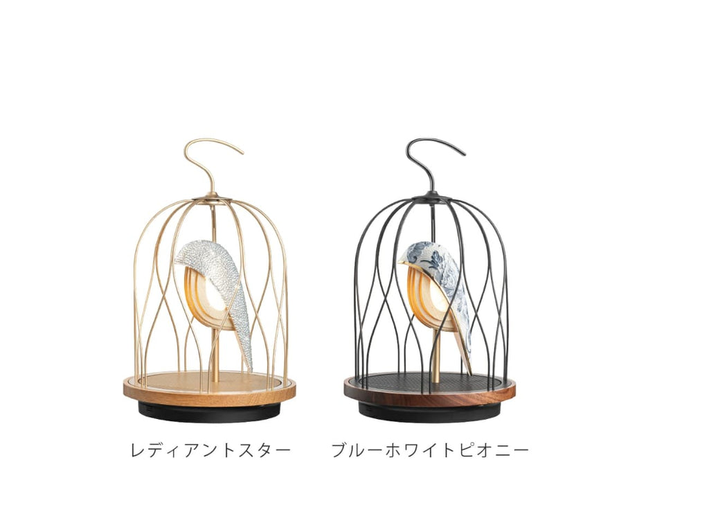 JINGOOs Luxury