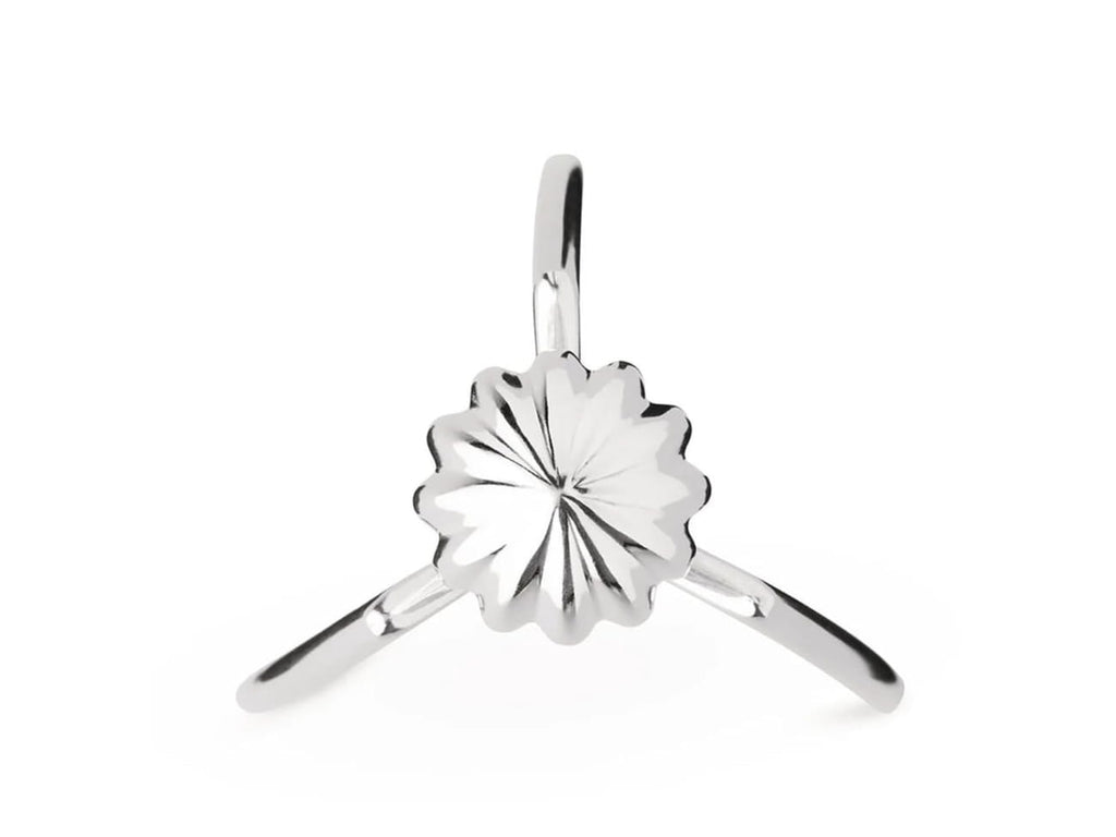 Juicy Salif