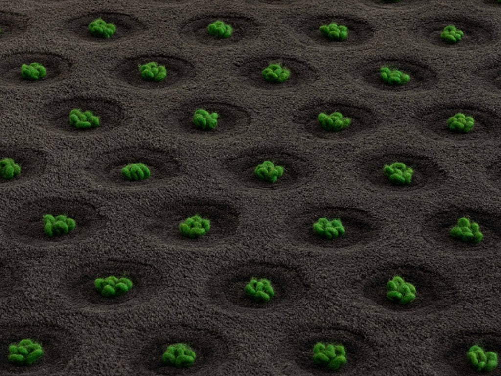 La Geria-Lanzarote Rectangular Rug